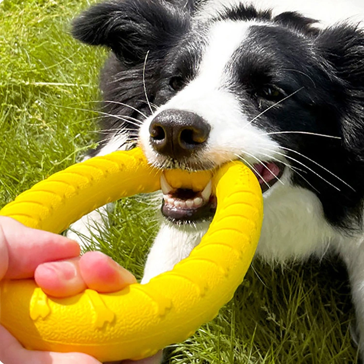 Іграшка EVA Pet Ring
