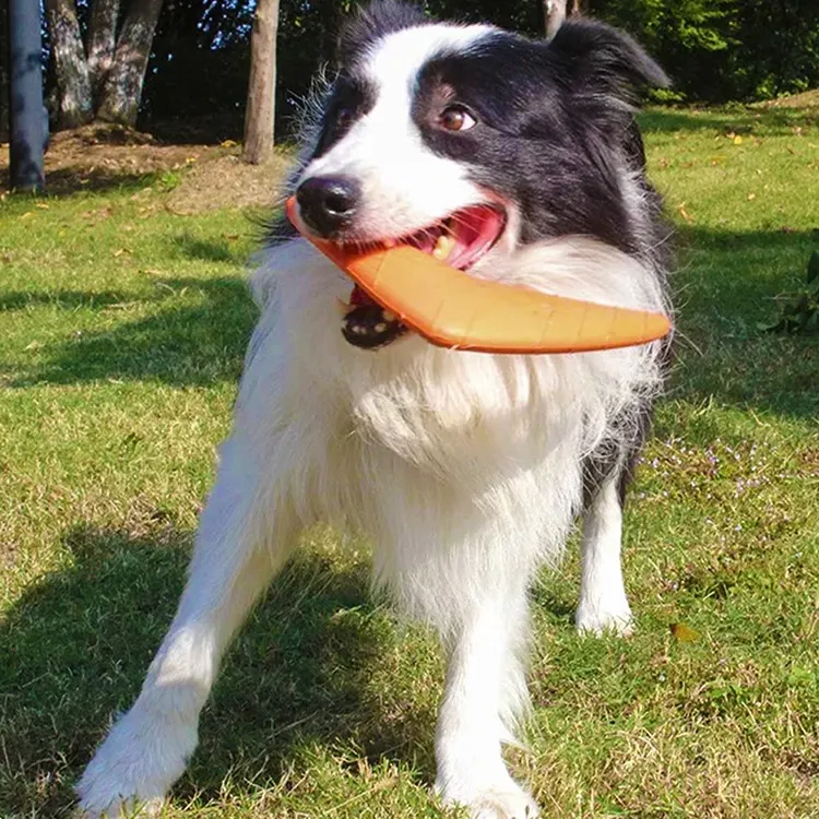 EVA Pet Dart: практичний посібник із вибору безпечної та веселої іграшки для собак
